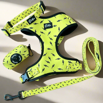 Bright yellow with lightning bolt design, unique harness set for dogs and cats in Dubai