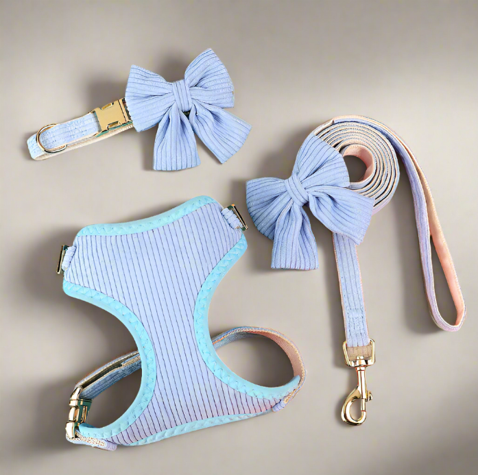 Blue-dog-harness-set