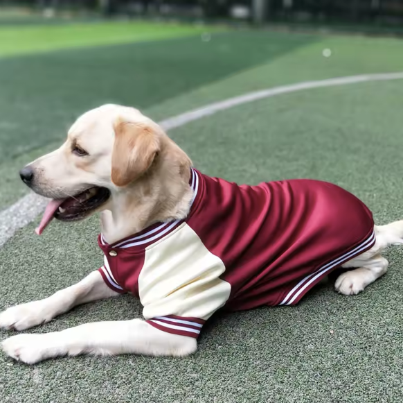 varsity-dog-jacket-red-side