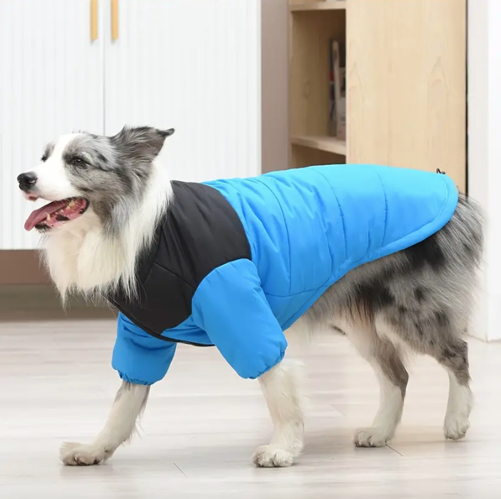 electric-blue-dog-jacket-side