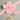 pink-dog-leash-with-bow