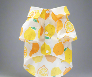 lemon-print-cotton-shirt