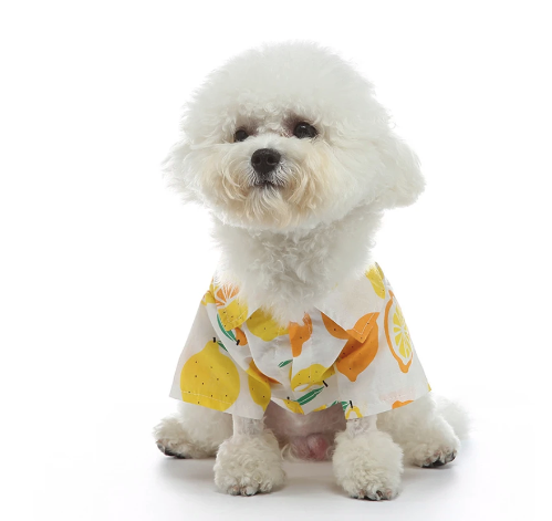 lemon-print-cotton-shirt-with-dog