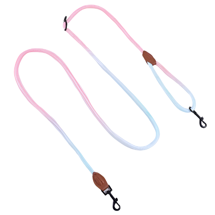 gradient-rope-leash-for-dog-blue-pink