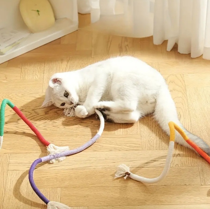 cat-rope-toy-with-cat-playing