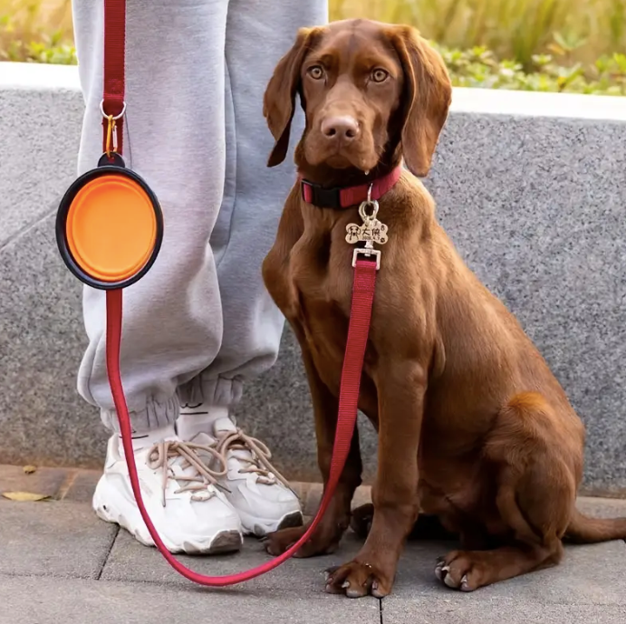 foldable-pet-bowl-on-leash