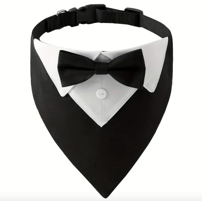 Dog-Bow-Tie-Collar-photo