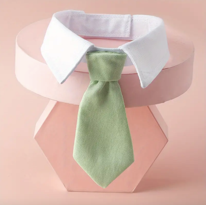 Mint green tie collar for dogs and cats in our pet product section