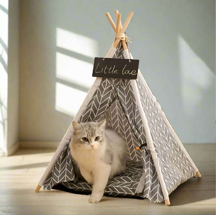 cat-inside-a-cat-teepee