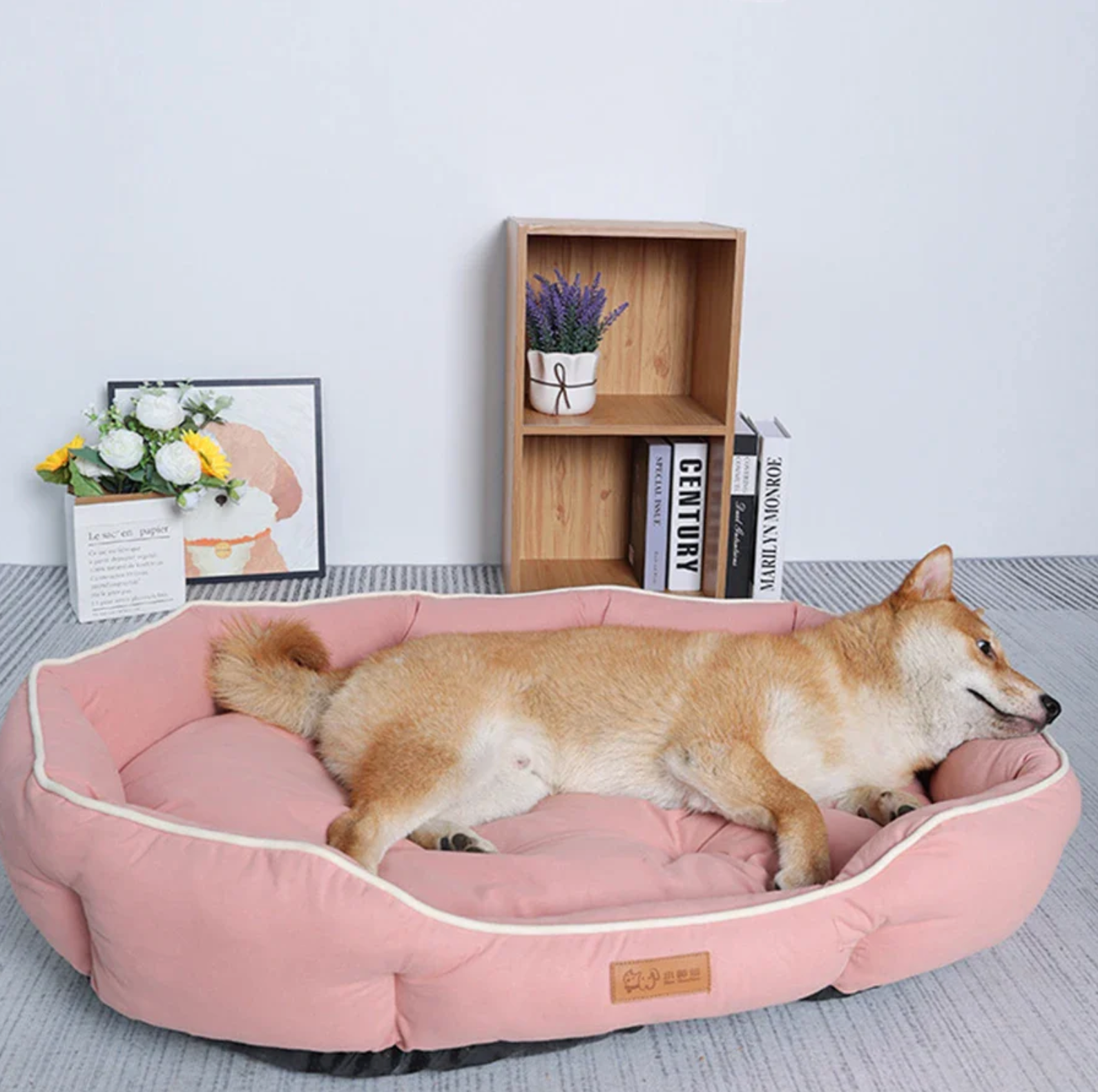 pink-pooch-dog-bed-with-dog