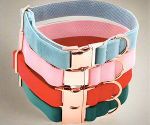 velvet-dog-collars